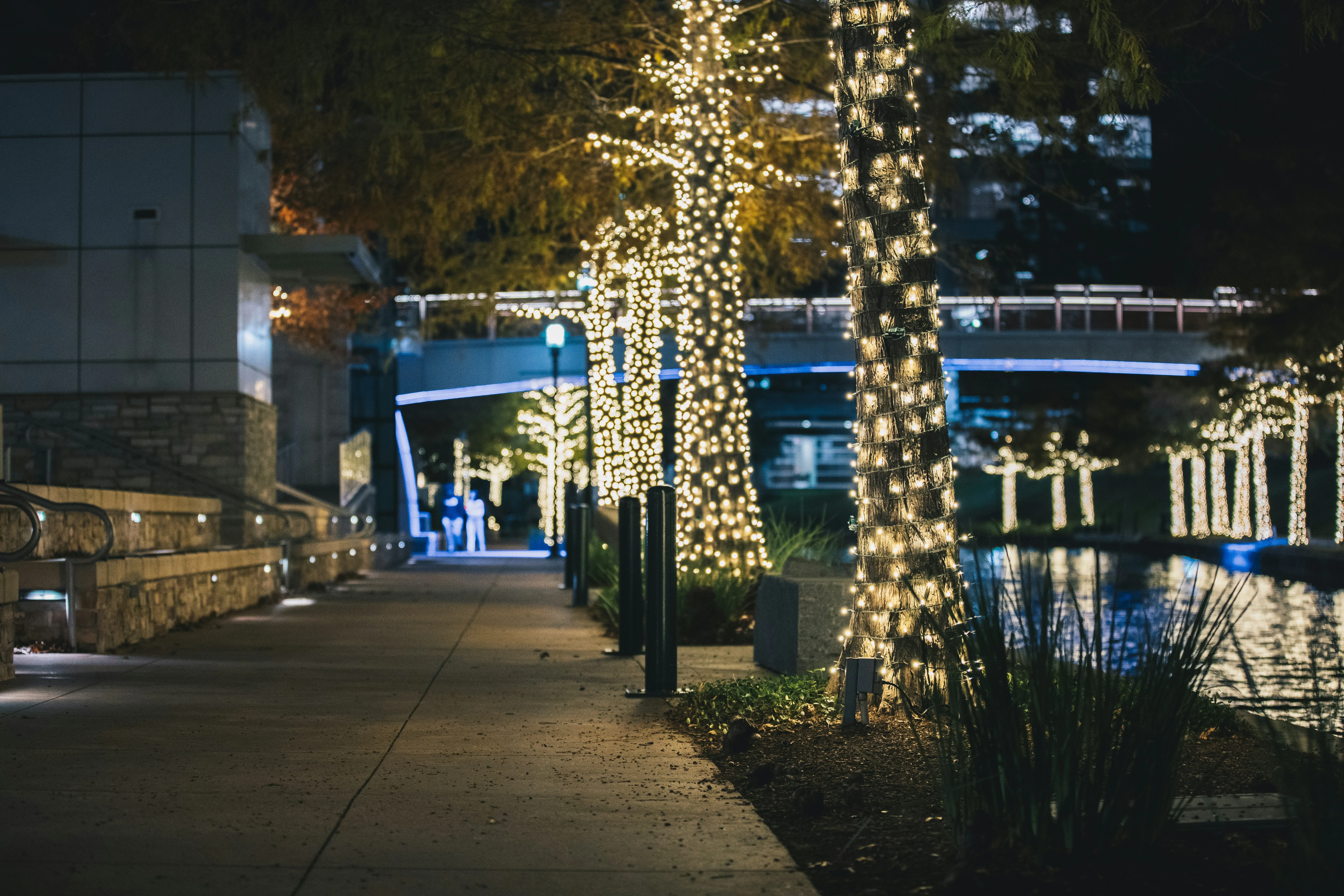 The Woodlands community